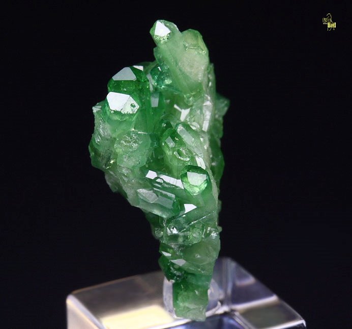 gem VESUVIANITE var. CHROMIAN