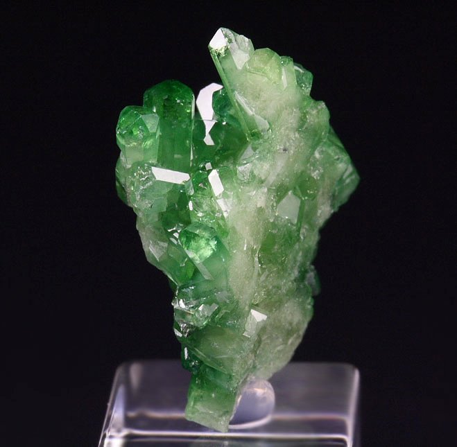 gem VESUVIANITE var. CHROMIAN