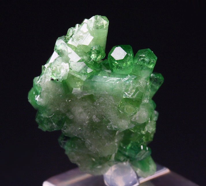 gem VESUVIANITE var. CHROMIAN