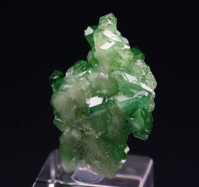 gem VESUVIANITE var. CHROMIAN