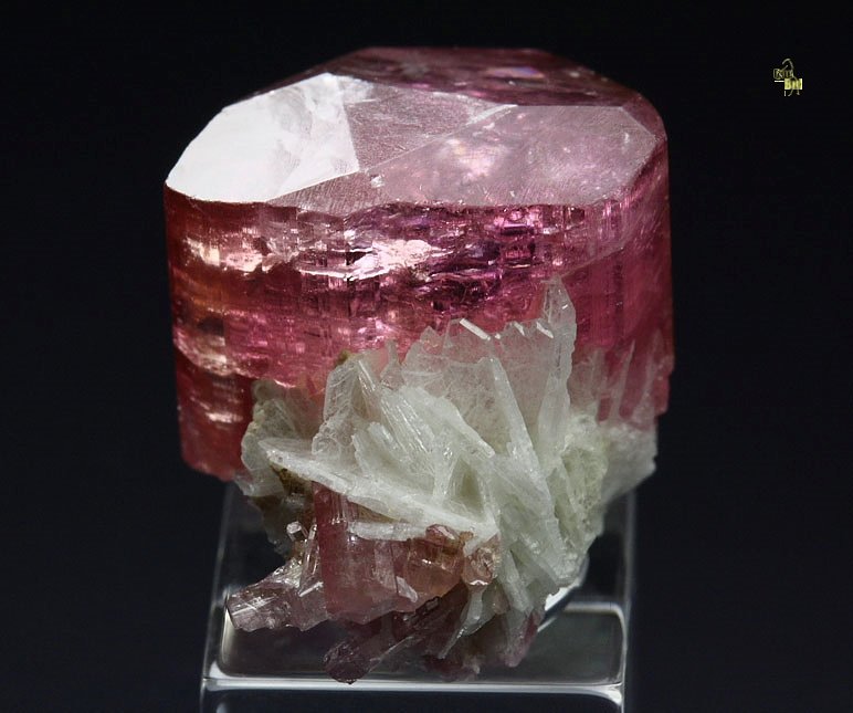 gem TOURMALINE var. ELBAITE, ALBITE