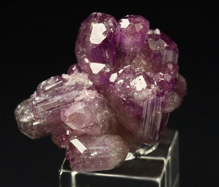 gem VESUVIANITE var. MANGANOAN