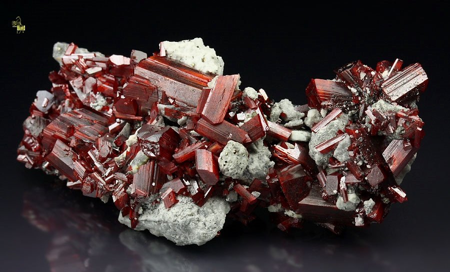 REALGAR