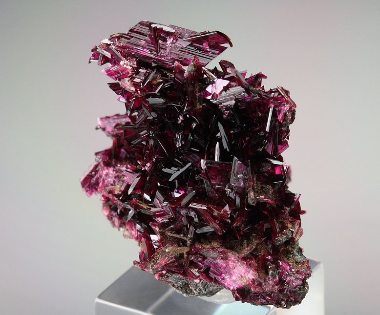 gemmy ERYTHRITE