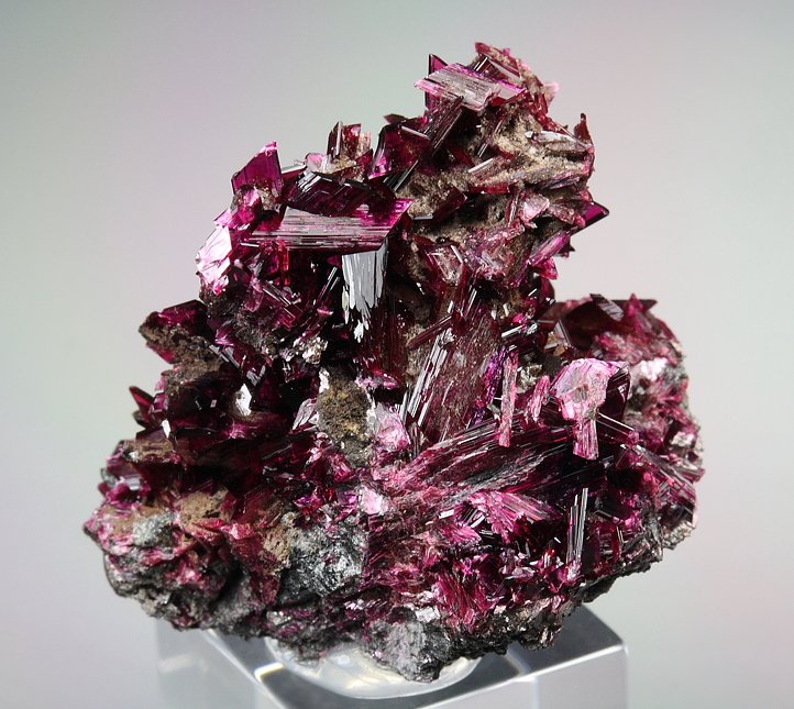 gemmy ERYTHRITE