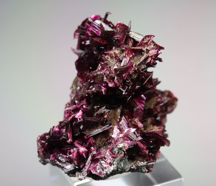 gemmy ERYTHRITE