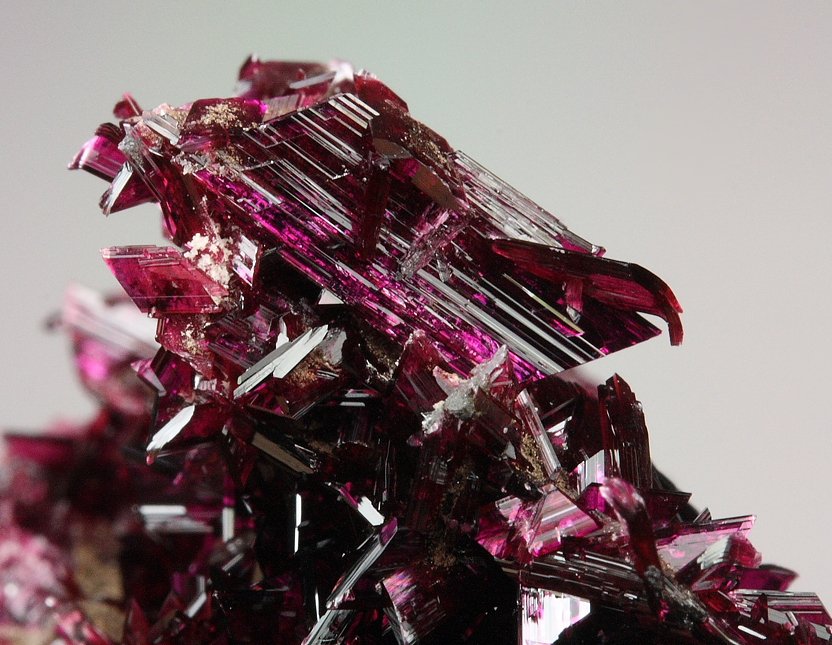 gemmy ERYTHRITE