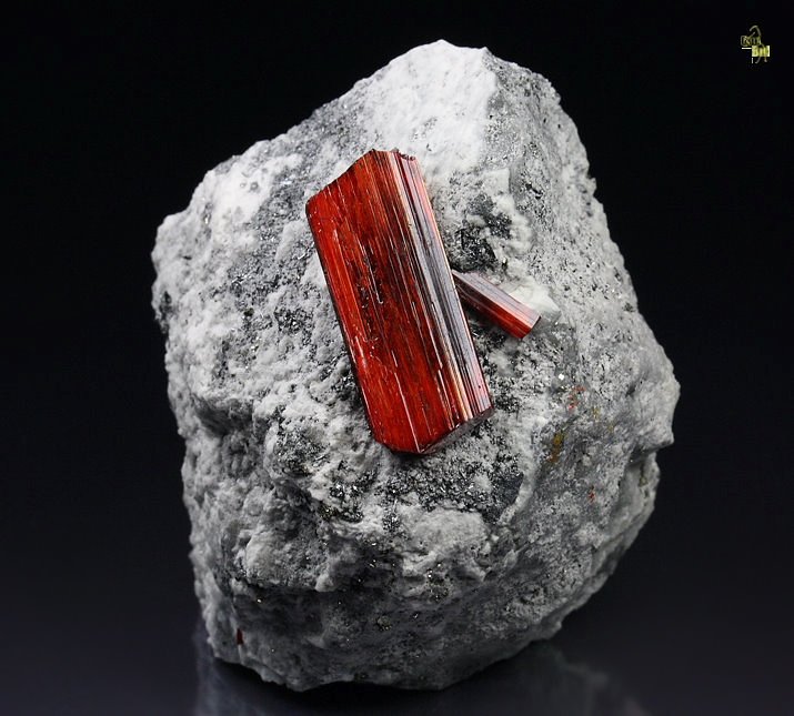 REALGAR