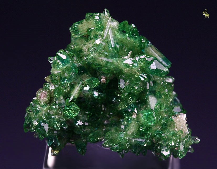 gem VESUVIANITE var. CHROMIAN