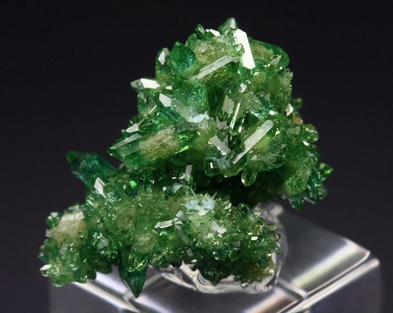 gem VESUVIANITE var. CHROMIAN