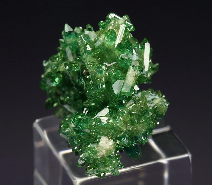 gem VESUVIANITE var. CHROMIAN