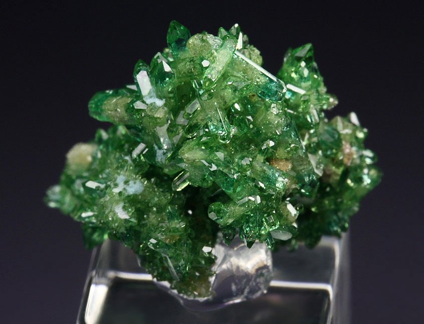 gem VESUVIANITE var. CHROMIAN