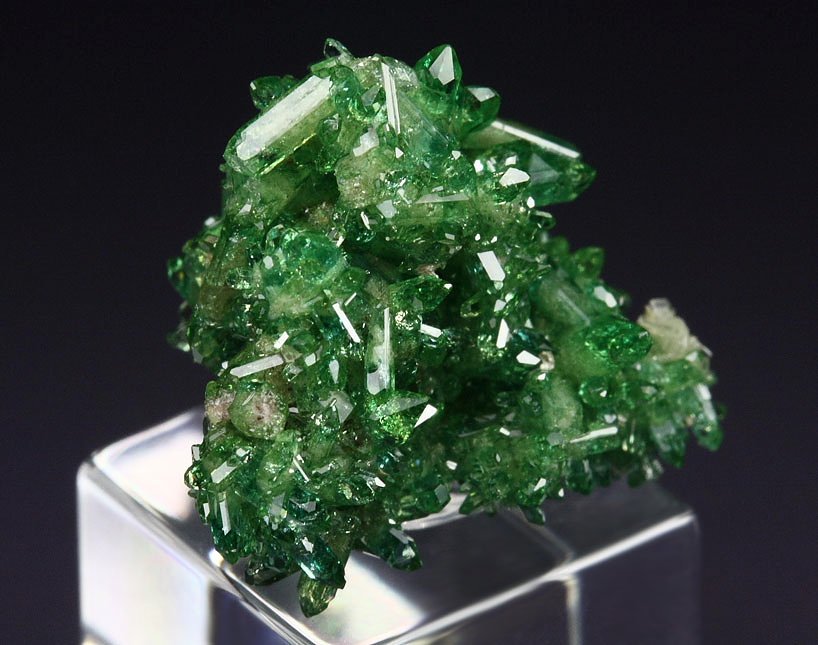 gem VESUVIANITE var. CHROMIAN