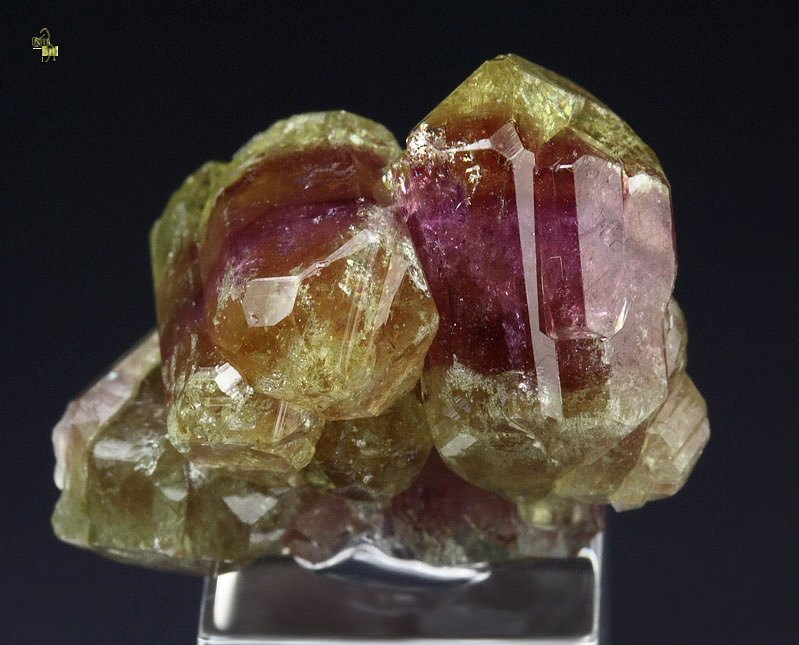 gem bi-color VESUVIANITE bi-terminated