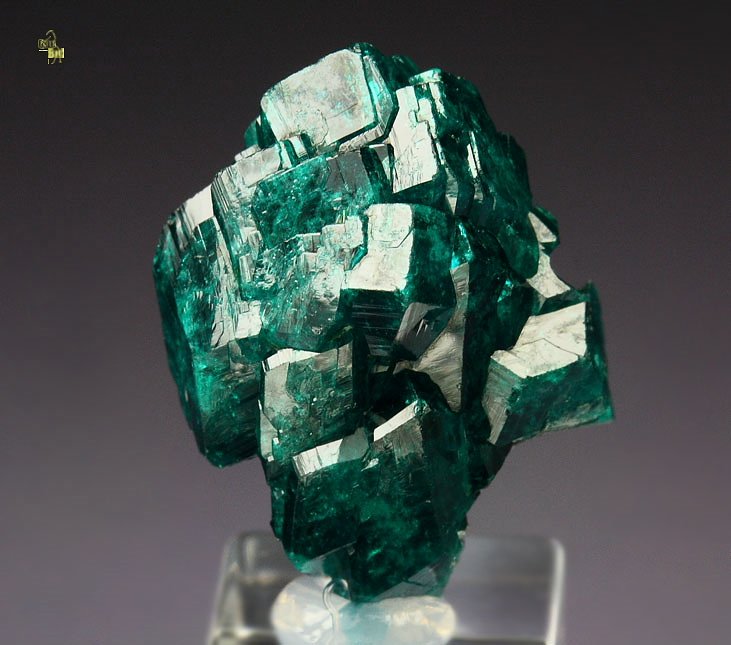 gemmy DIOPTASE