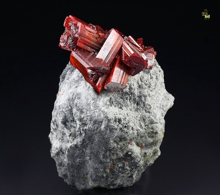 REALGAR