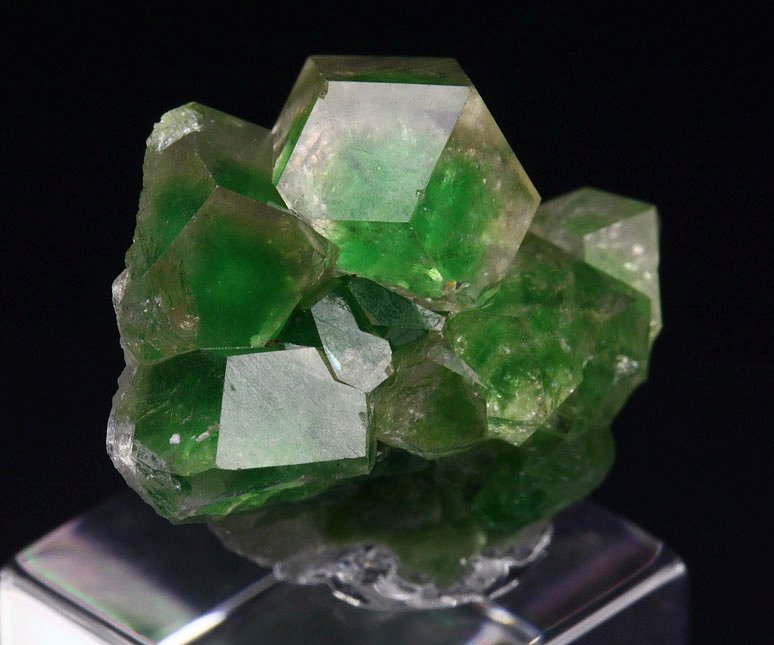 gem GARNET var. GROSSULAR with GREEN CHROMIAN PHANTOMS