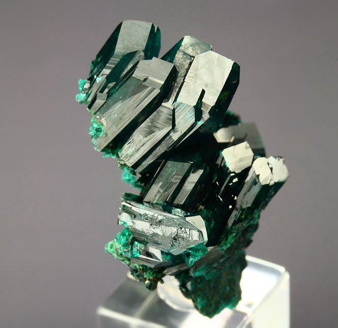 gem DIOPTASE, AZURITE