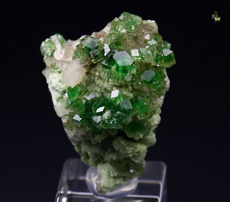 gem GARNET var. GROSSULAR with GREEN CHROMIAN PHANTOMS, PREHNITE