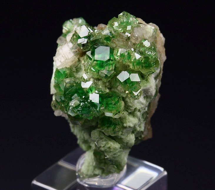 gem GARNET var. GROSSULAR with GREEN CHROMIAN PHANTOMS, PREHNITE