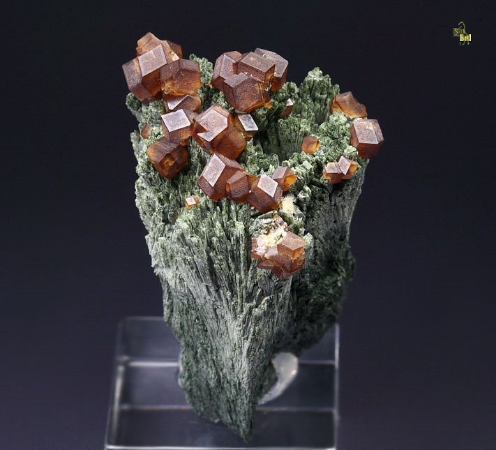 GARNET var. ANDRADITE, HEDENBERGITE