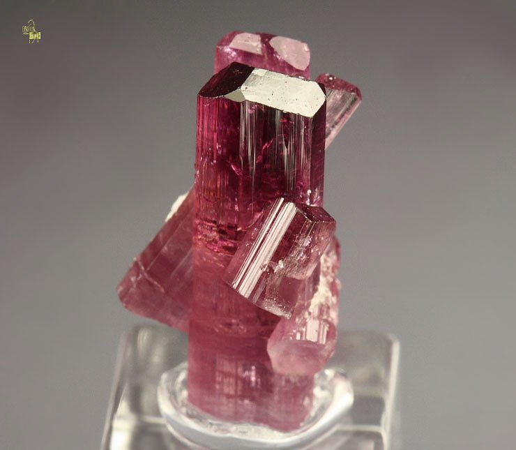 gem TOURMALINE var. ELBAITE