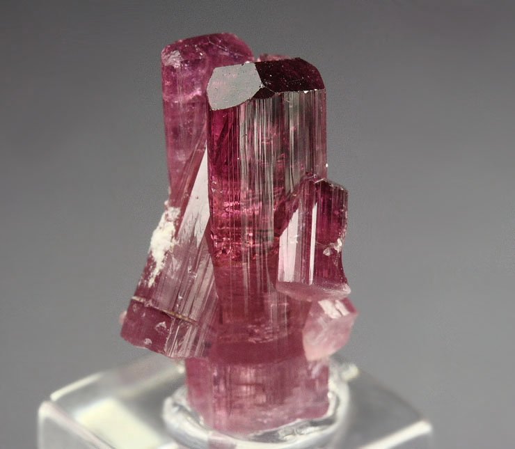 gem TOURMALINE var. ELBAITE