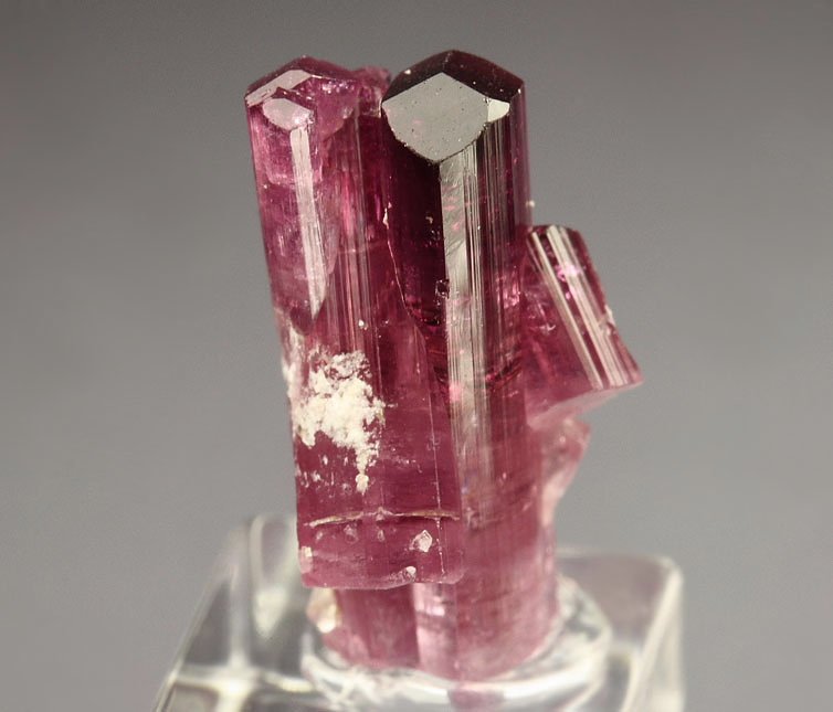 gem TOURMALINE var. ELBAITE