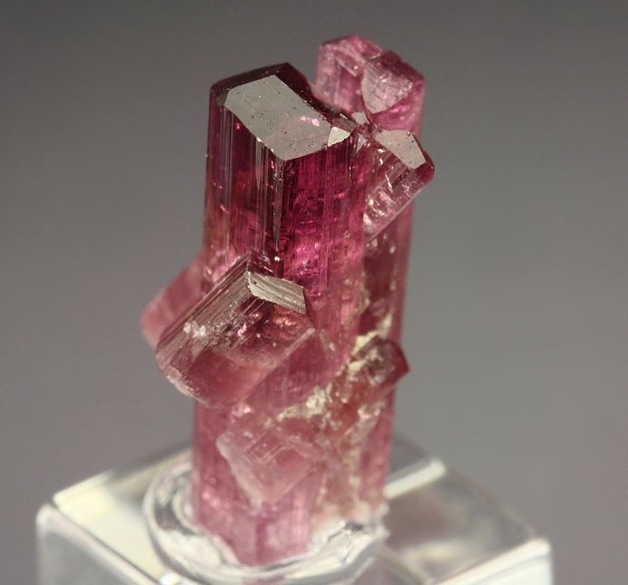 gem TOURMALINE var. ELBAITE