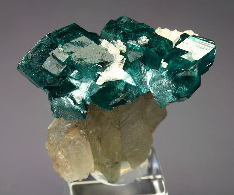 gemmy DIOPTASE bi-terminated, QUARTZ, CALCITE