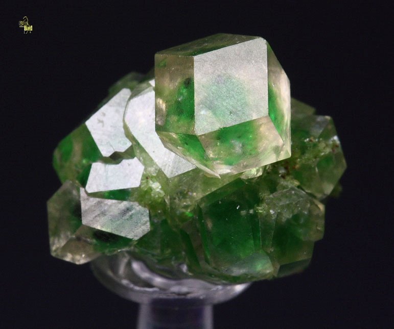 gem GARNET var. GROSSULAR with GREEN CHROMIAN PHANTOMS