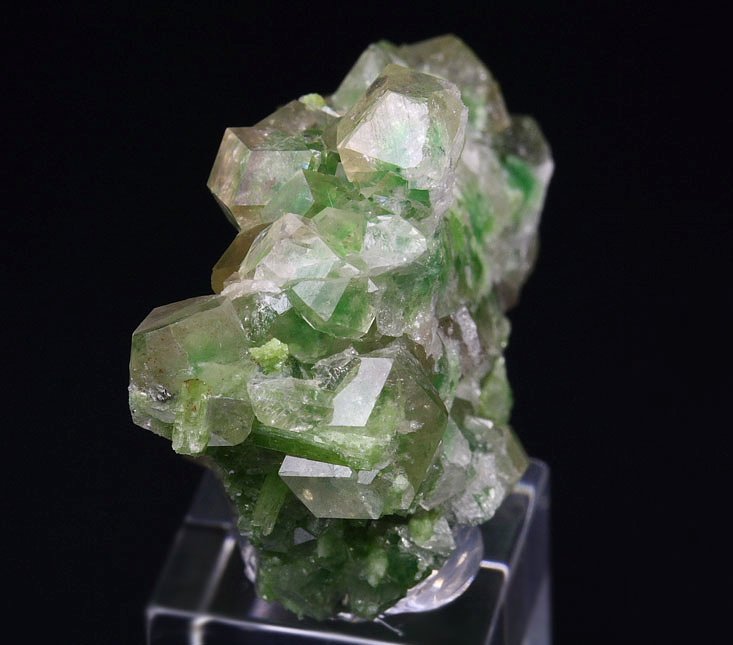 gem GARNET var. GROSSULAR with GREEN CHROMIAN PHANTOMS, DIOPSIDE