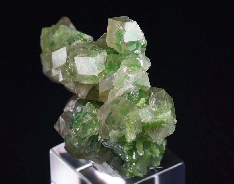 gem GARNET var. GROSSULAR with GREEN CHROMIAN PHANTOMS, DIOPSIDE