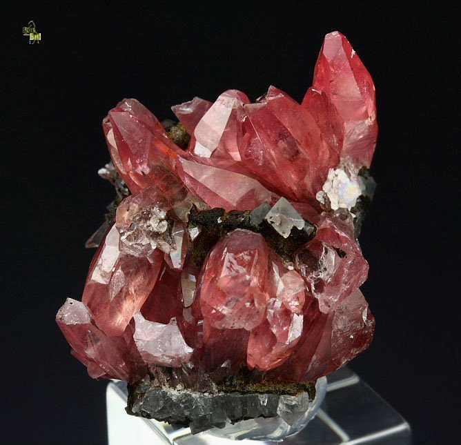 gem RHODOCHROSITE, QUARTZ