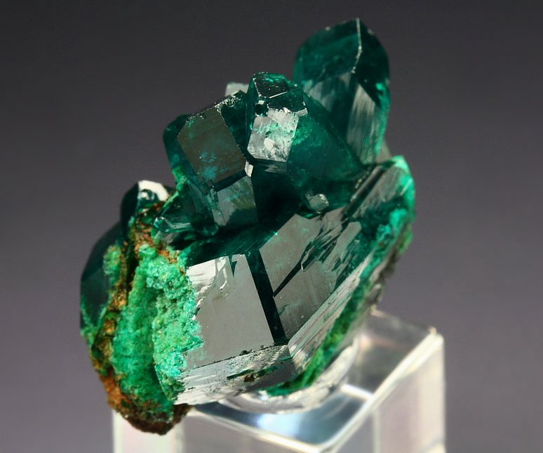 gemmy DIOPTASE