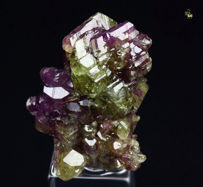 gemmy VESUVIANITE multicolor