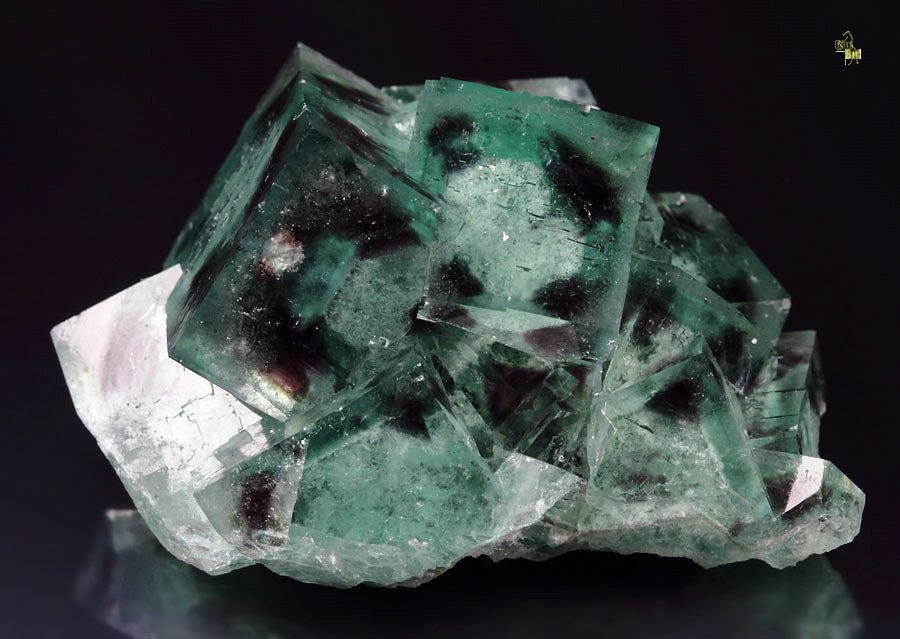 green FLUORITE with purple PHANTOMS