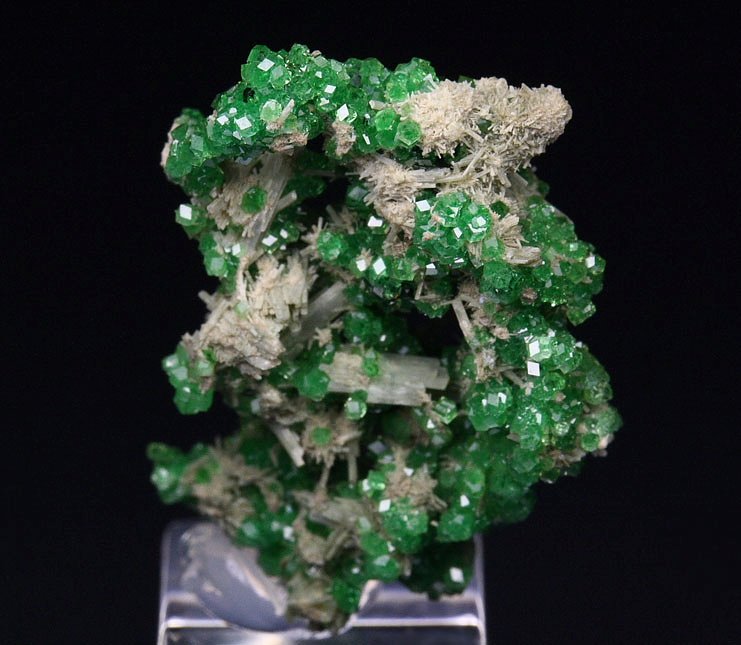 GARNET var. GROSSULAR var. CHROMIAN, DIOPSIDE