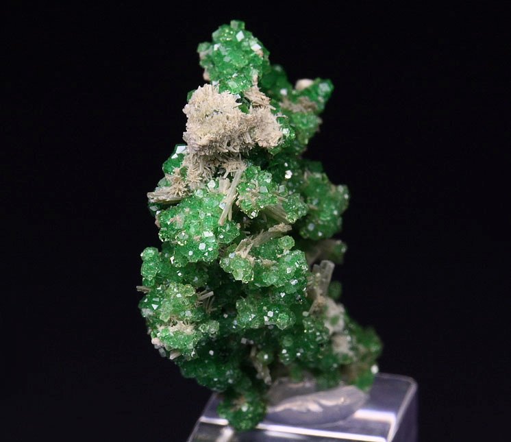 GARNET var. GROSSULAR var. CHROMIAN, DIOPSIDE