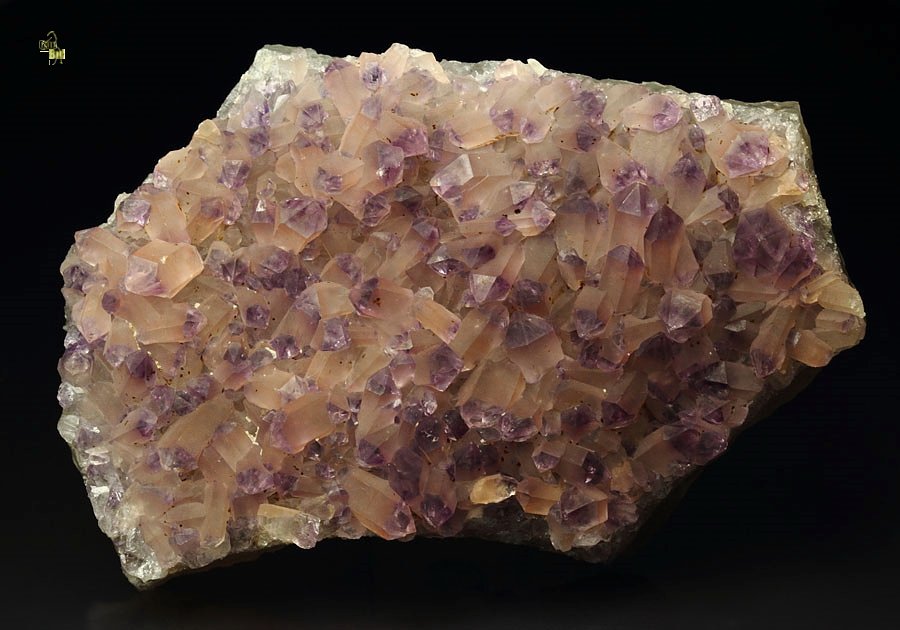 QUARTZ var. AMETHYST with HEMATITE coating