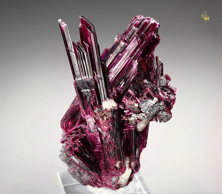 gemmy ERYTHRITE