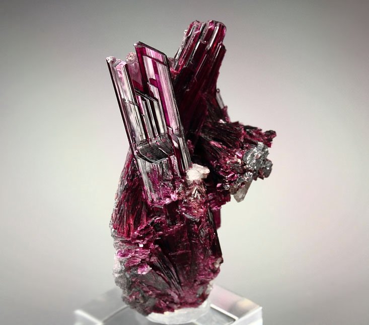 gemmy ERYTHRITE