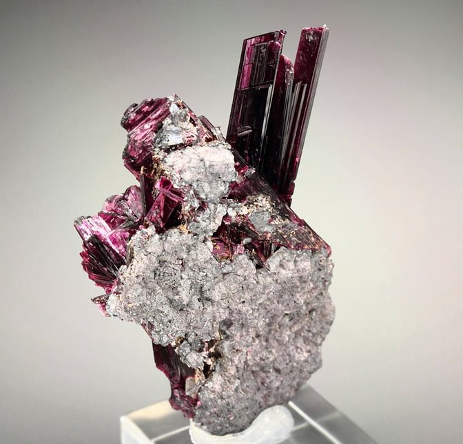 gemmy ERYTHRITE