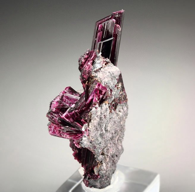 gemmy ERYTHRITE