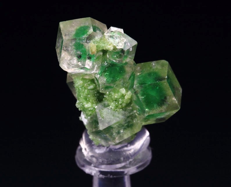 gem GARNET var. GROSSULAR with GREEN CHROMIAN PHANTOMS, DIOPSIDE