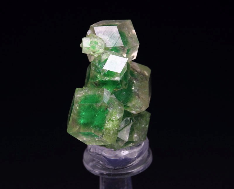 gem GARNET var. GROSSULAR with GREEN CHROMIAN PHANTOMS, DIOPSIDE