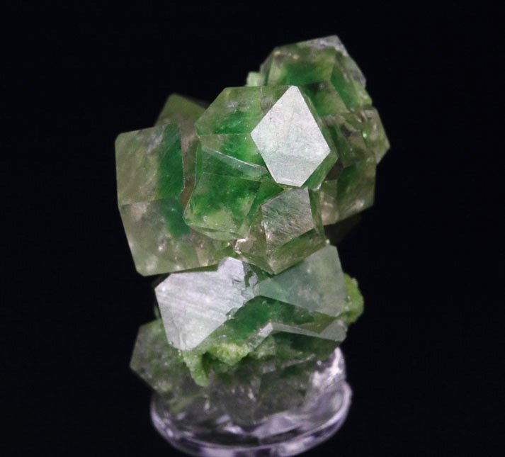 gem GARNET var. GROSSULAR with GREEN CHROMIAN PHANTOMS, DIOPSIDE