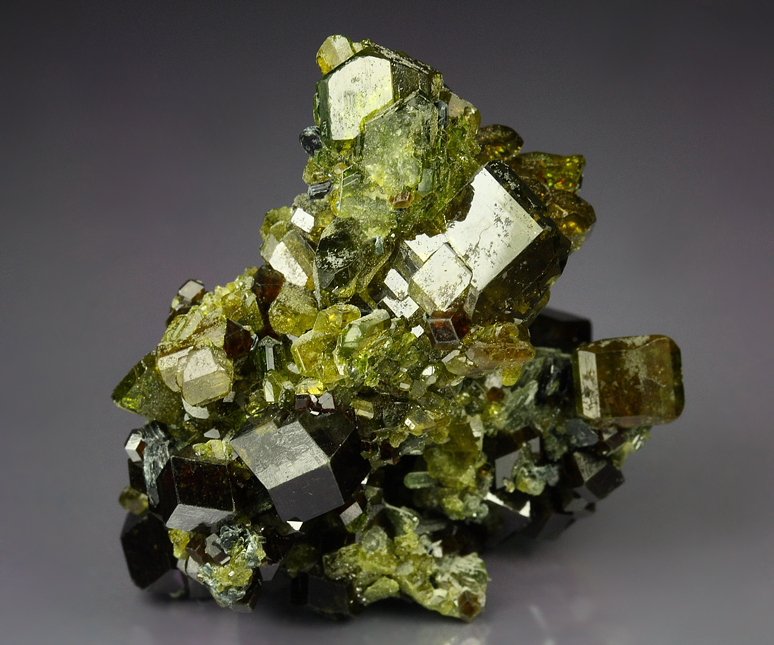 GARNET var. ANDRADITE, EPIDOTE -  floater