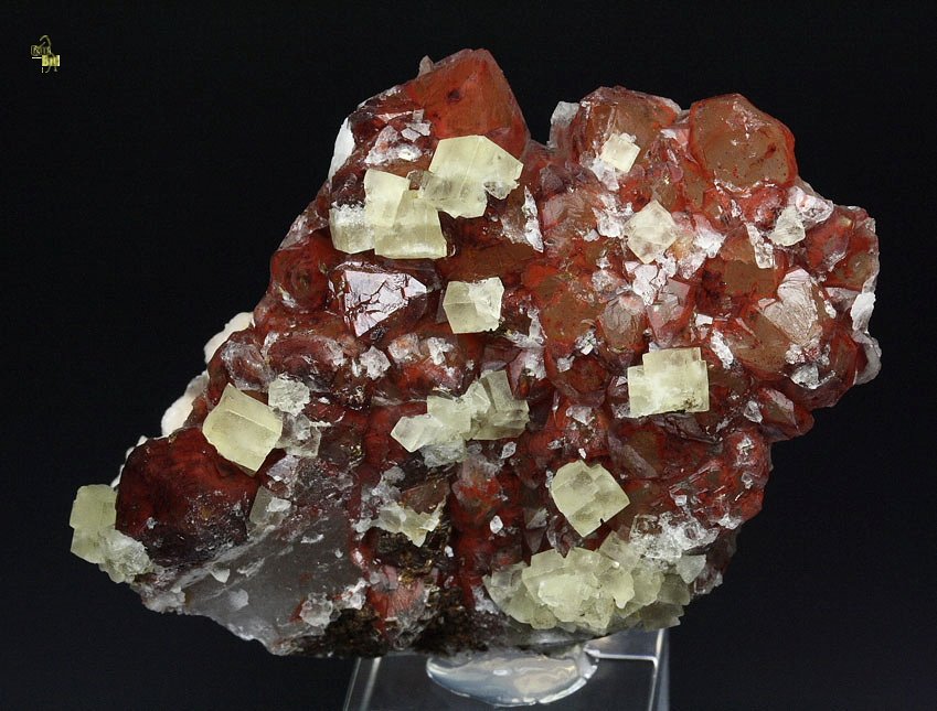 FLUORITE, QUARTZ with red HEMATITE INCLUSIONS 