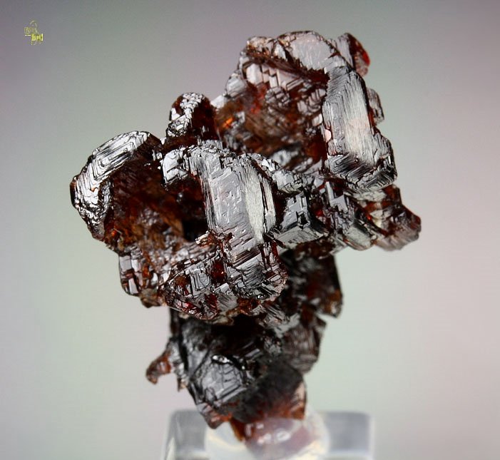 skeletal gem GARNET var. SPESSARTINE 